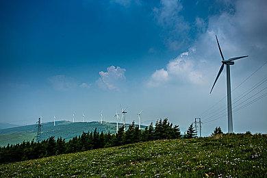 网飞与巴西独立游戏开发商Rogue Snail合作 拓展游戏业务